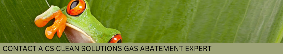 CLEANSORB technology